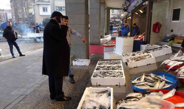 Beklenen Gürcü hamsisi sonunda geldi