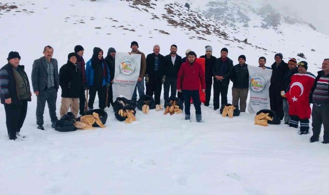 Berit Dağı'nda yaban hayvanlarına yem