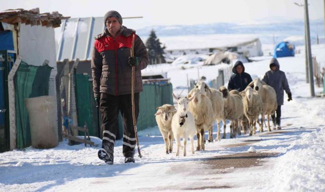Besicilerin zorlu hava koşullarındaki amansız mücadelesi