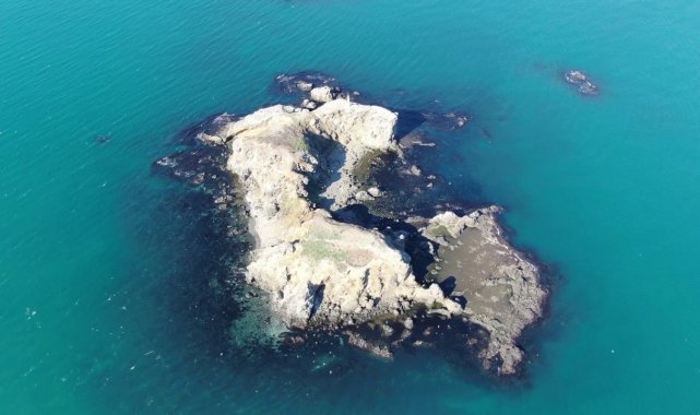 Beykoz'un gizemli adası görenleri kendisine hayran bırakıyor