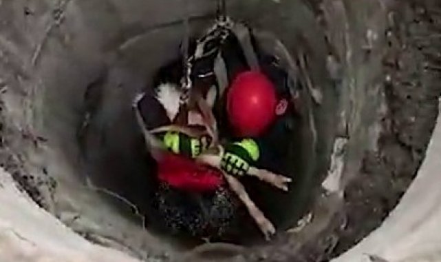 Beylikdüzü&#039;nde itfaiye ekiplerinden keçi kurtarma operasyonu