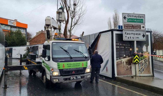 Beyoğlu'nda budanan ağaç dalları vatandaşlara yakacak olarak dağıtıldı