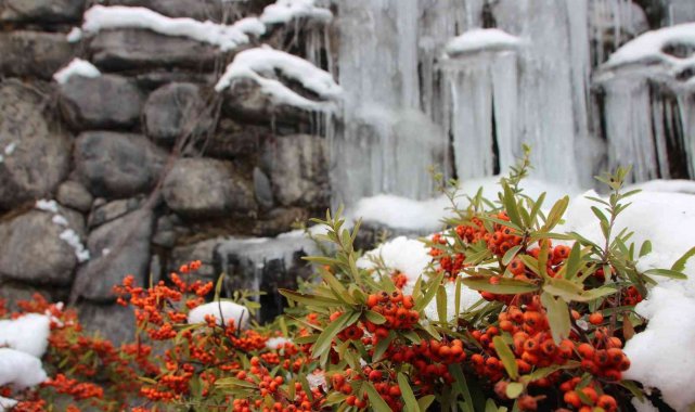 Bilecik&#039;te soğuklar şelaleyi dondurdu