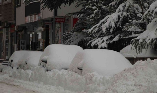 Bingöl&#039;de 281 köy yolu ulaşıma kapandı
