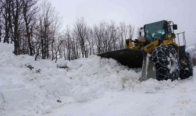 Bingöl'de kapalı olan 21 köy yolunda çalışmalar sürüyor