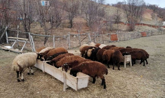 Bingöl'de üreticilere 3 milyon lira destek verildi