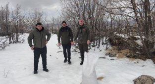 Bingöl'de yaban hayvanları için doğaya yem bırakıldı