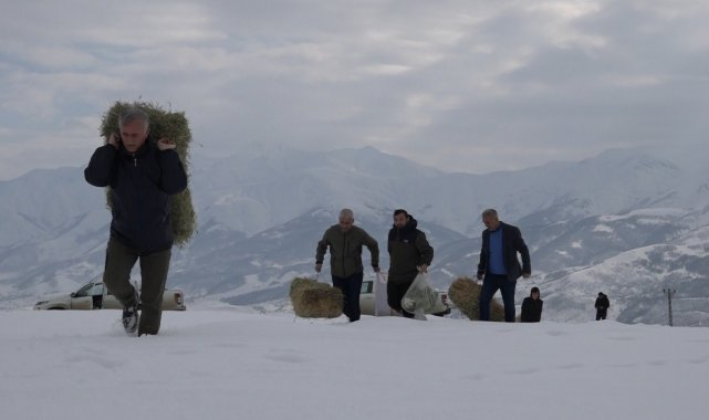 Bingöl'de yaban hayvanları için karla kaplı dağlara yem bırakıldı