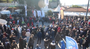 Binlerce kişi Hamsi Festivali’nde buluştu