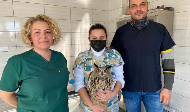 Binlerce yaban hayvanı bu merkez sayesinde hayata döndü