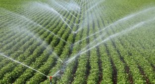 Bireysel sulama hibe desteği başvuruları başladı