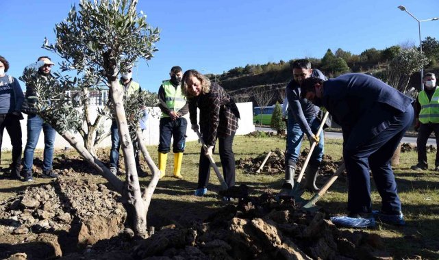 Bitkilendirme çalışmaları başladı