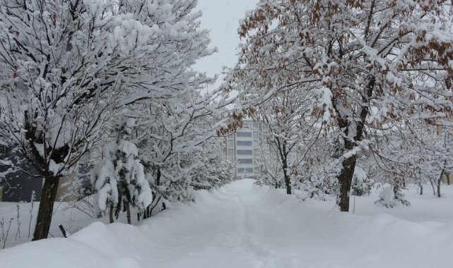 Bitlis'te 203 köy yolu ulaşıma kapandı