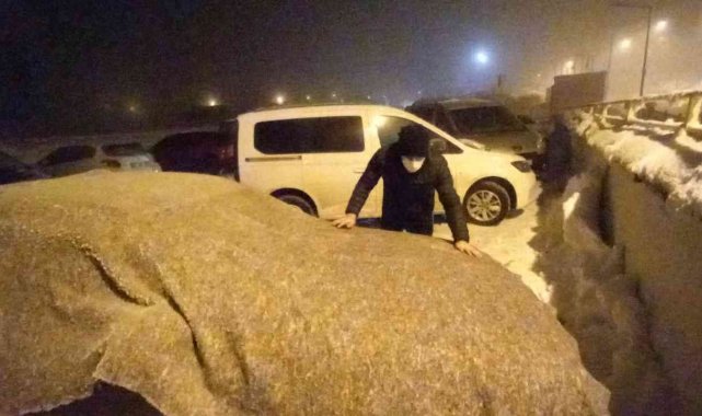 Bitlis&#039;te hayat dondu