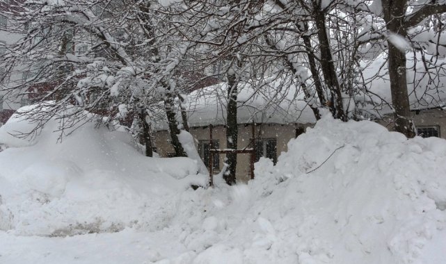 Bitlis&#039;te kar esareti devam ediyor