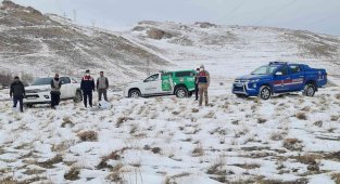 Bitlis'te sokak ve yaban hayvanlar için doğaya yem bırakıldı