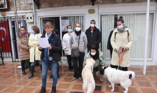 Bodrum'da hayvanseverler şiddet olaylarına dikkati çekti