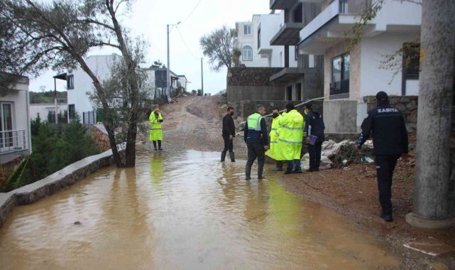Bodrum&#039;da selin bilançosu ortaya çıktı