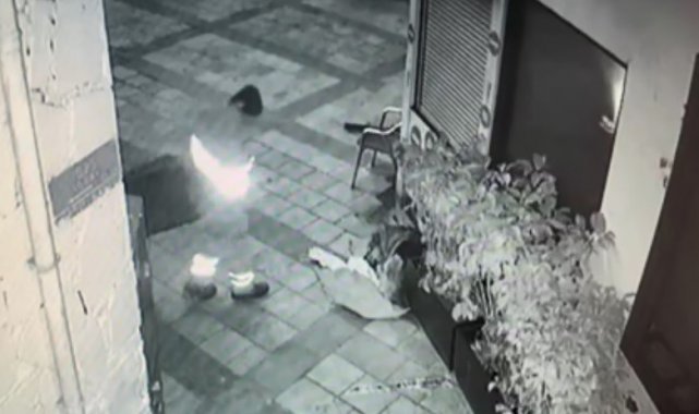 Bodrum&#039;da yürek ısıtan görüntü