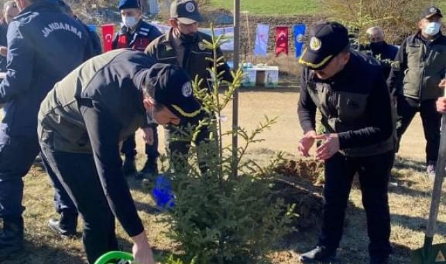 Bolu'da bin fidan toprakla buluşturuldu