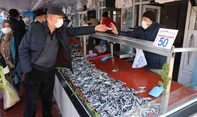 Bolu'da hamsi fiyatları 50 liraya kadar çıktı
