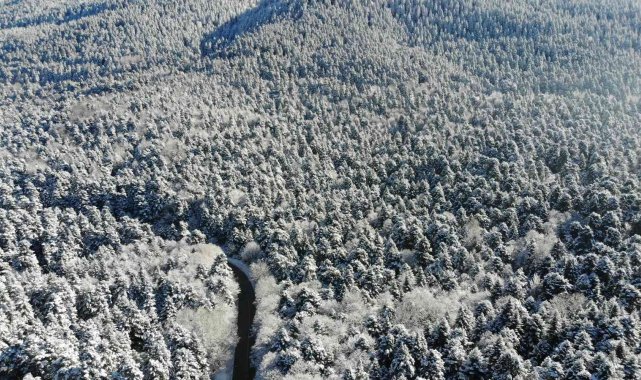 Bolu'nun karla kaplı ormanları havadan görüntülendi
