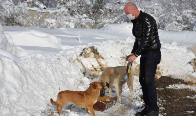 Bozüyük Belediyesi can dostlarını unutmadı