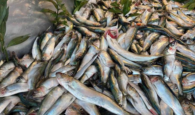 Bu balık pek bilinmiyor ama mangalları söndürüyor