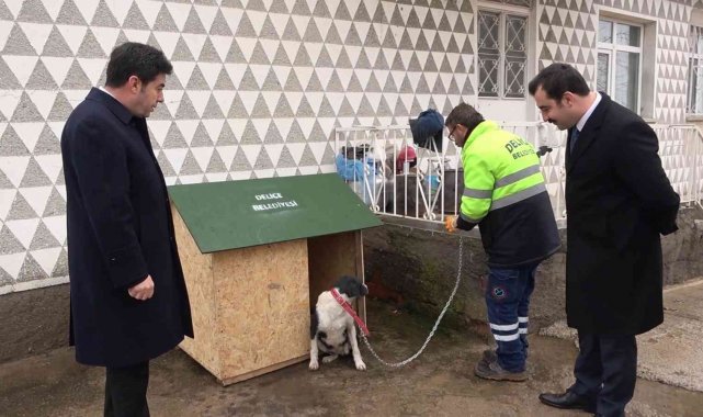 Bu ilçede sokak hayvanı sahiplenenlere 15 ton içme suyu ücretsiz veriliyor
