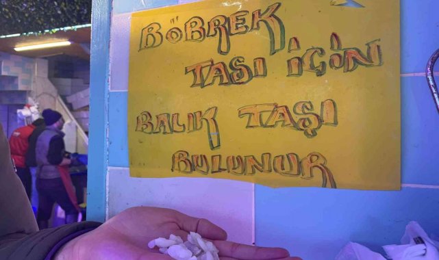 Bu taş böbrek taşını düşürüyor