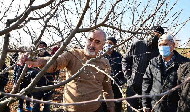 Budamada önce teori sonra uygulama