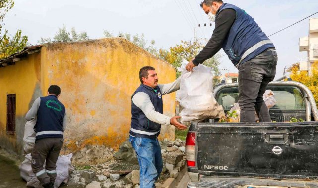 Budanan dallar yuvaları ısıtıyor