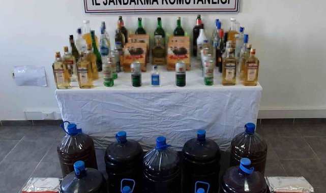 Bulgaristan'dan Türkiye'ye getirilen 740 litre kaçak alkol ele geçirildi