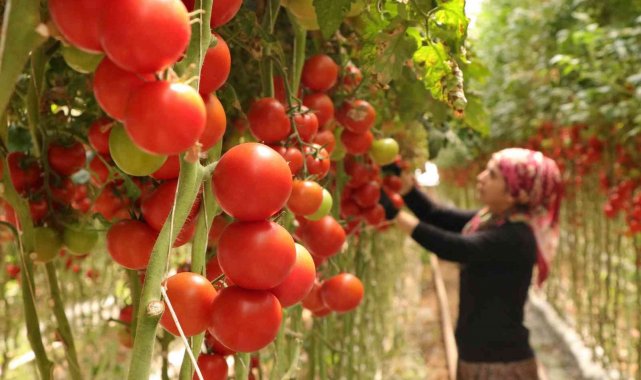 Burdur'da yayla seracılığında Türkiye birinciliği hedefi