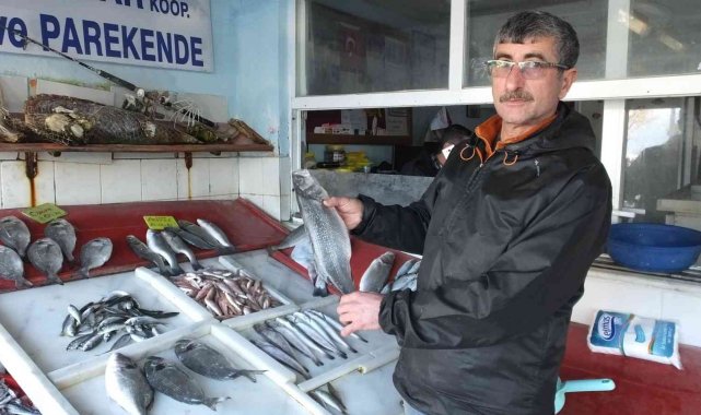 Burhaniye&#039;de balıklar kooperatifle değerlendi