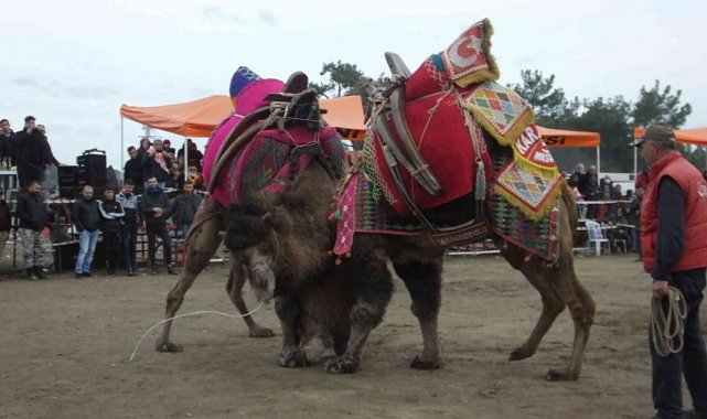Burhaniye&#039;de festival hazırlıkları tamamlandı