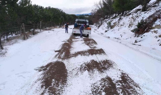 Burhaniye'de kırsal yollar tuzlanıyor