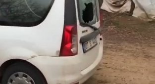 Bursa'da elindeki kürekle otoparktaki araçlara zarar veren şahıs tutuklandı