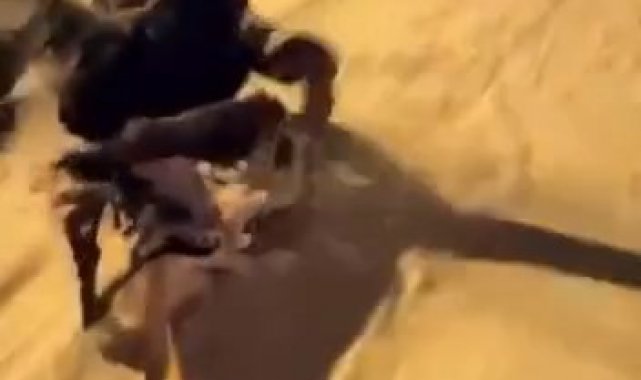 Bursa'da kar kimine eğlence, kimine çile olurken, gençler karın tadını doyasıya çıkardı