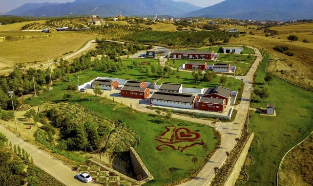 Büyükşehir 3 yılda 50 bin 576 sokak hayvanını misafir etti