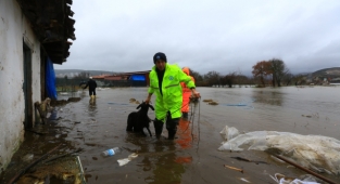 Büyükşehir Ekipleri Mahsur Kalan Hayvanları Kurtardı