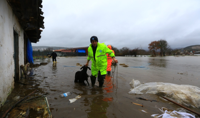 Büyükşehir Ekipleri Mahsur Kalan Hayvanları Kurtardı
