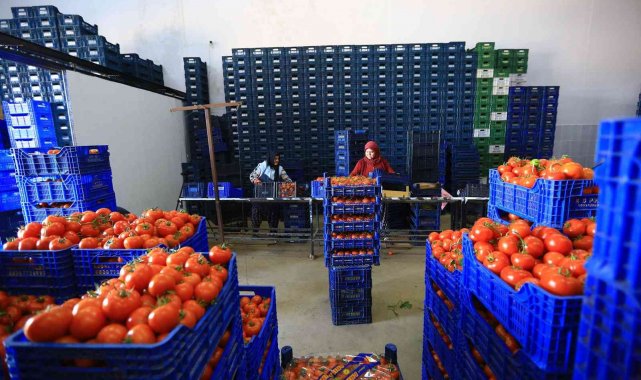 Büyükşehir, toptancı hal esnafına 'kefil' oluyor