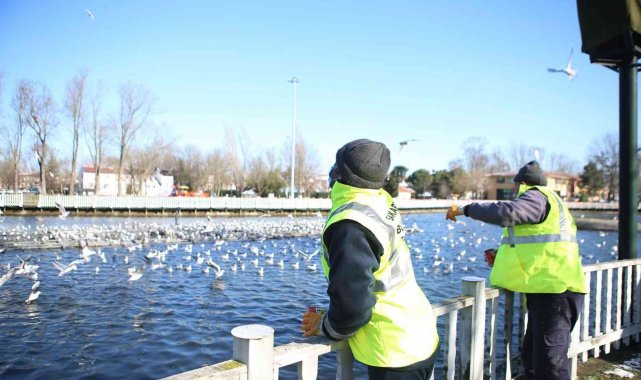 Büyükşehir yılın en soğuk günlerinde sokak hayvanları için sahada