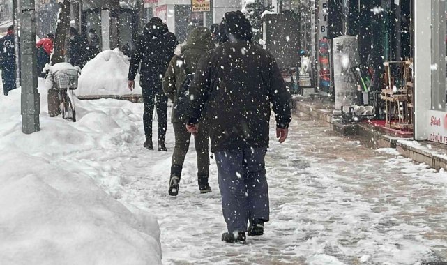 Buzlu yolda düşmemek için "penguen yürüyüşü" önerisi