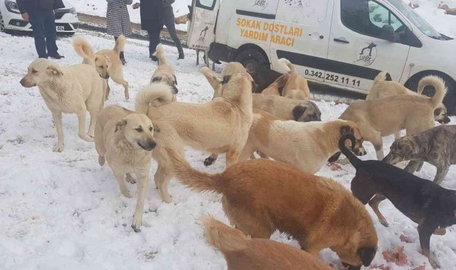 Cahide karda can dostların yanında