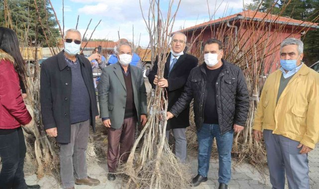 Çameli Belediyesi'nden ücretsiz fidan dağıtımı