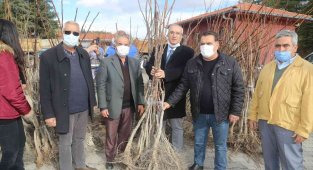 Çameli Belediyesi'nden ücretsiz fidan dağıtımı