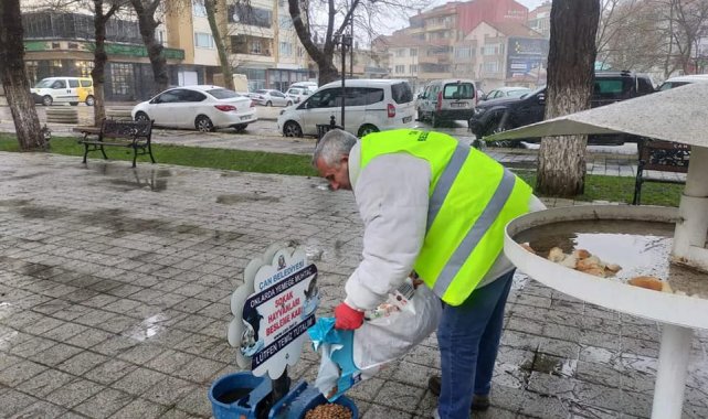 Çan Belediyesi sokak hayvanlarını unutmadı