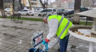 Çan Belediyesi sokak hayvanlarını unutmadı